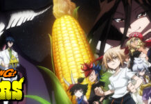 Shaman King Flowers Anime Episode Guide